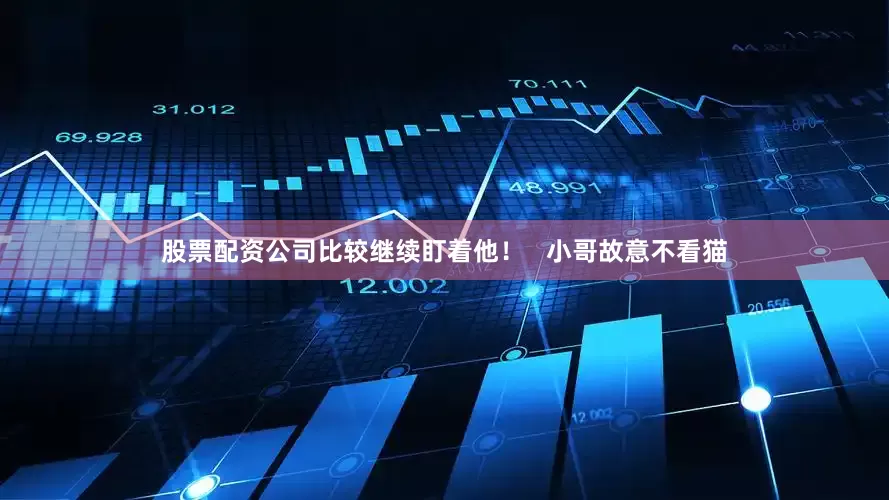 股票配资公司比较继续盯着他！   小哥故意不看猫