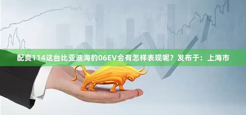 配资114这台比亚迪海豹06EV会有怎样表现呢？发布于：上海市