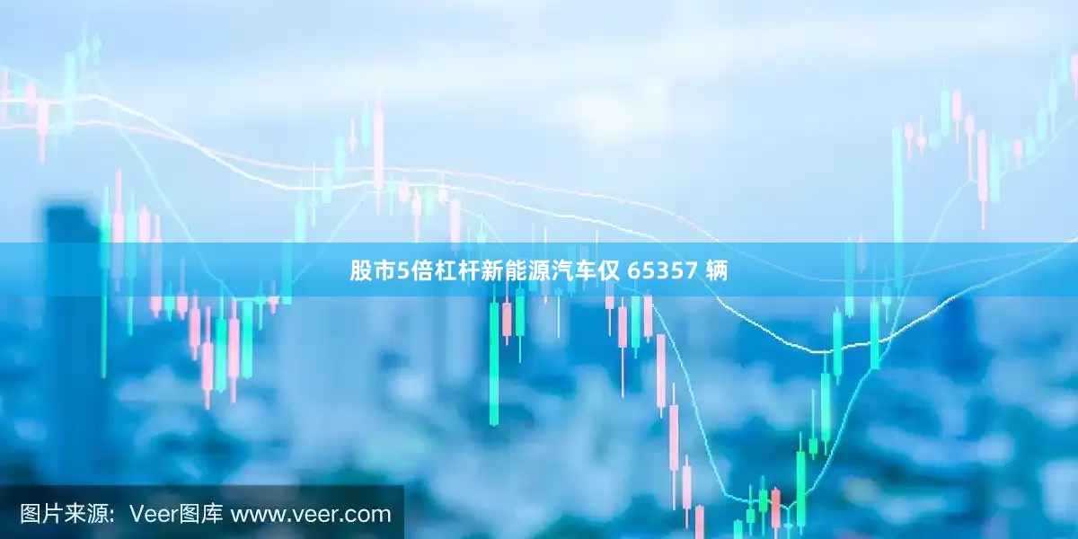 股市5倍杠杆新能源汽车仅 65357 辆